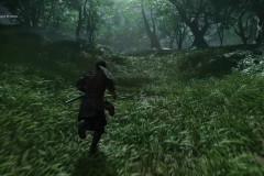 Ghost of Tsushima_20200805182912