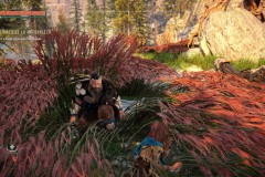 HorizonZeroDawnRemastered0045