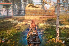 HorizonZeroDawnRemastered0226