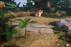 Pikmin61