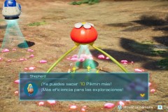 Pikmin99