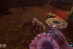 Review-Escape-from-Naraka-26