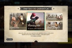 Harry-Potter-Quidditch-62