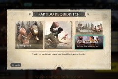 Harry-Potter-Quidditch-65