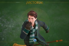 Harry-Potter-Quidditch-81