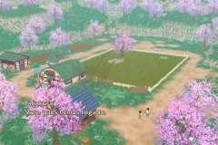 Review-StoryOfSeasons-7