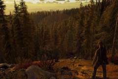 way-of-the-hunter-gallery-79