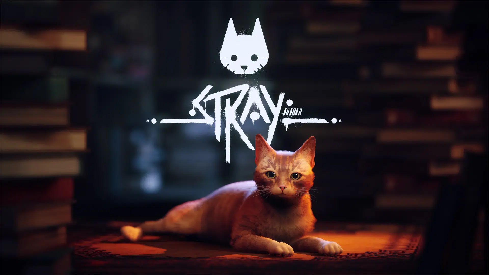 Stray confirmó su fecha de lanzamiento para Xbox